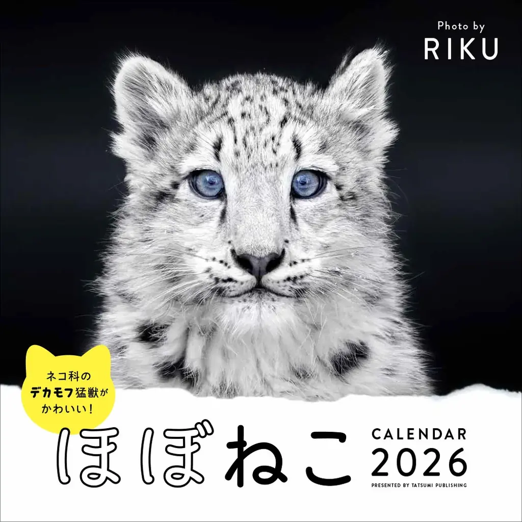 【2月2日は「ほぼねこの日」】根強い人気のネコ科写真集『ほぼねこ』5度目の重版が決定 画像 8