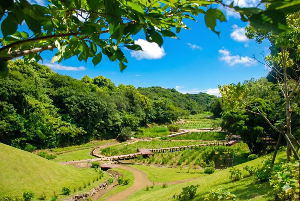 【NEMU RESORT】伊勢志摩の恵みあふれる里・海・森を育てるリゾート　～新たにピックルボールコートが誕生！～2026年4月18日リニューアルオープン 画像 8