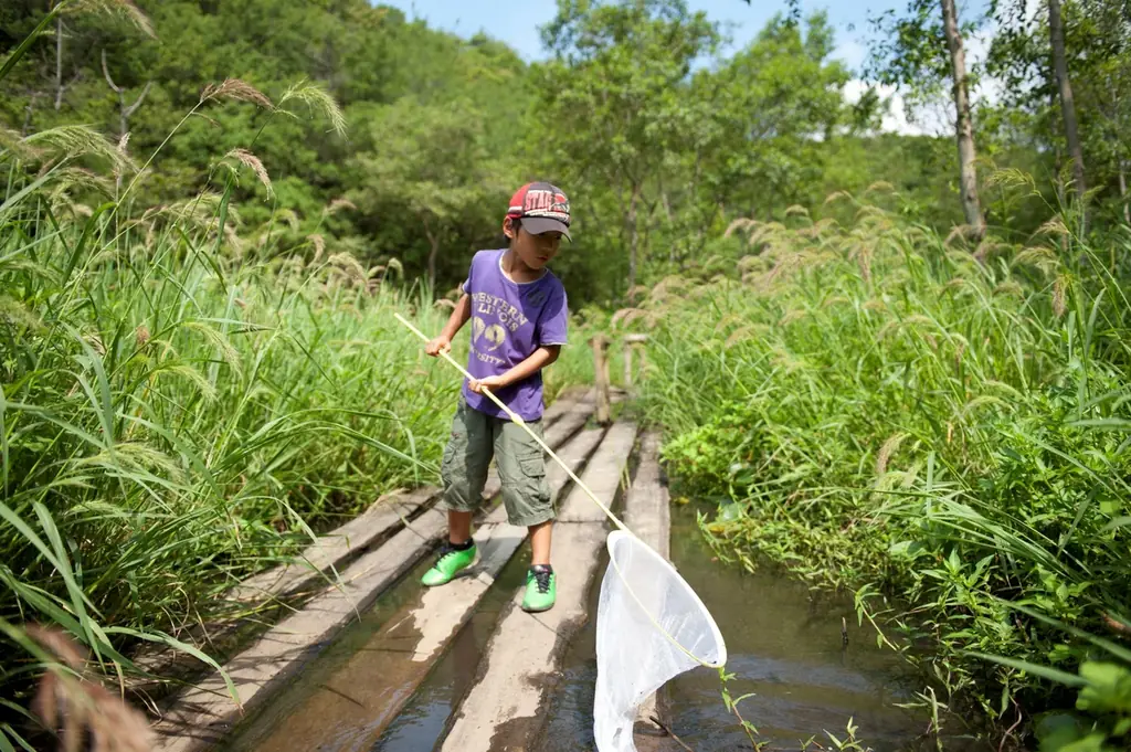 【NEMU RESORT】伊勢志摩の恵みあふれる里・海・森を育てるリゾート　～新たにピックルボールコートが誕生！～2026年4月18日リニューアルオープン 画像 9
