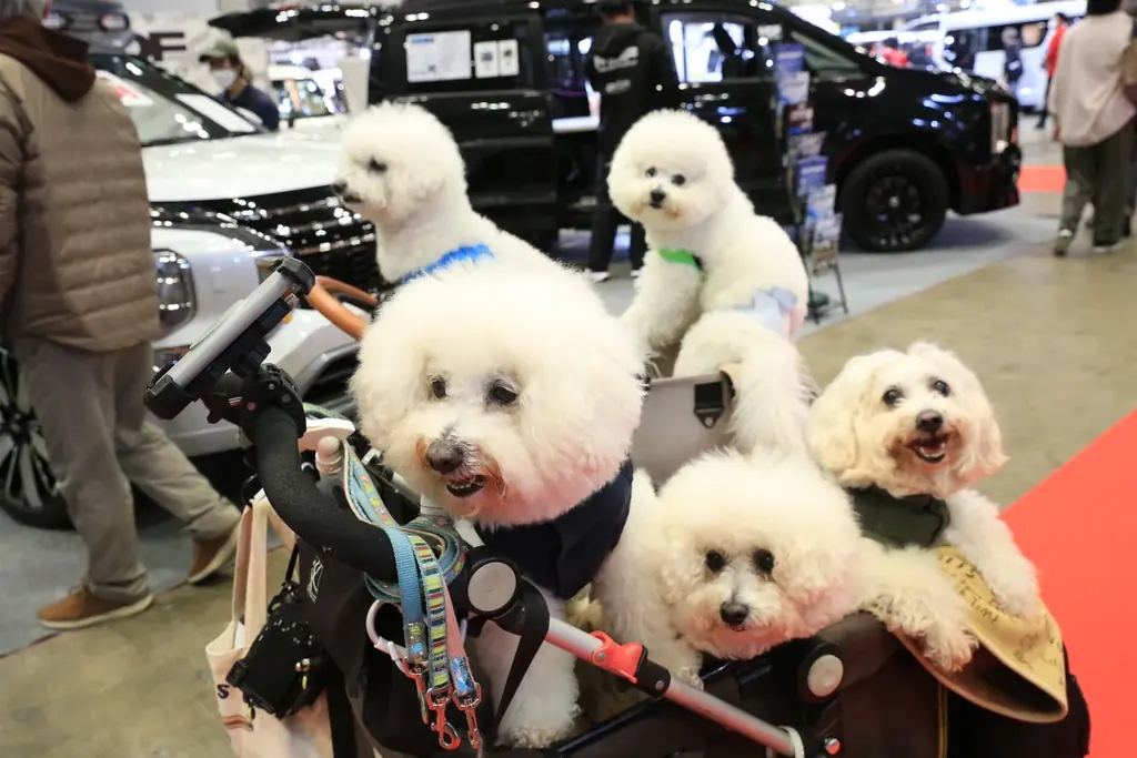 ジャパンキャンピングカーショー2026過去最多の452台の車両が出展！イベントで初披露の車両や大満足のフード情報を公開 画像 13