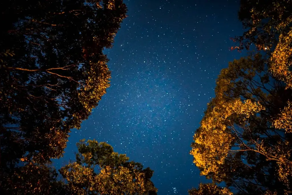 “月が姿を変える”神秘の一夜、大自然の澄んだ空気の中で天体ショーを体験！「皆既月食 観察ツアー」3月3日限定で開催 画像 2