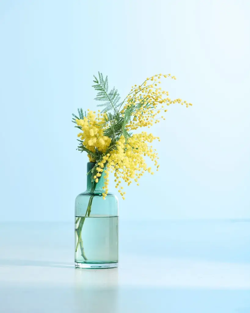 旅に出にくい今だからこそ。旅の記憶を束ねた新シリーズ「旅するスワッグ」発売 画像 14