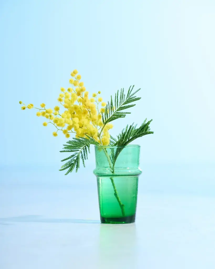 旅に出にくい今だからこそ。旅の記憶を束ねた新シリーズ「旅するスワッグ」発売 画像 9