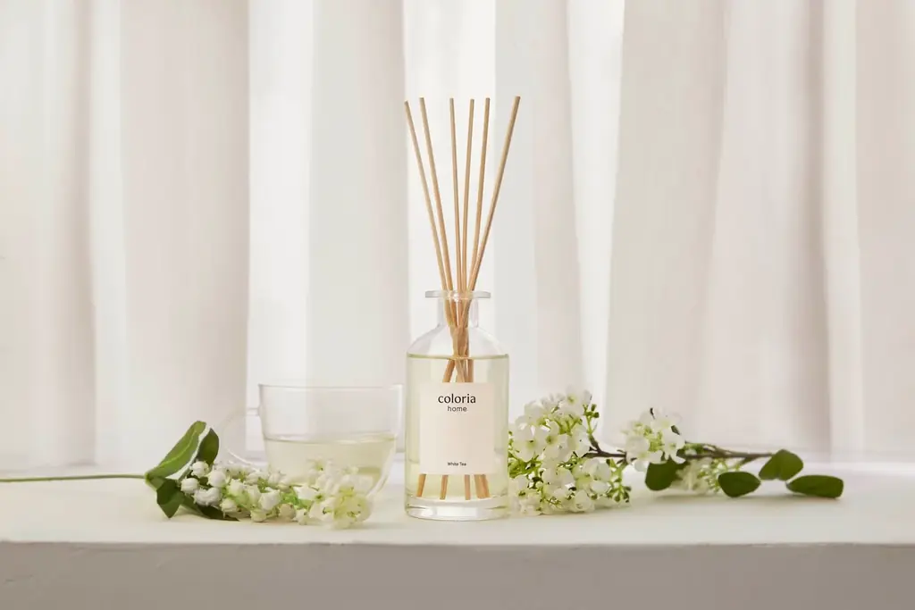 「Coloria Home」初のオフライン展開スタート！全国のロフトにて2026年2月上旬より順次発売開始 画像 2