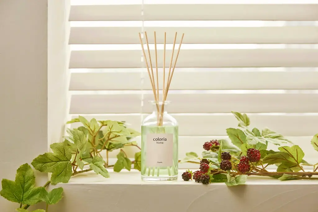 「Coloria Home」初のオフライン展開スタート！全国のロフトにて2026年2月上旬より順次発売開始 画像 4