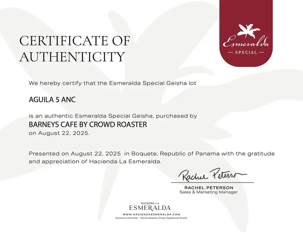コーヒー史上最高峰の一杯で、2026年の立春を飾る。100万円のパナマ・エスメラルダ ゲイシャ、BARNEYS CAFE BY CROWD ROASTERに降臨 画像 4