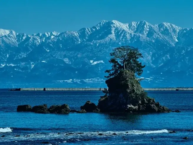 立山連峰が育んだ冬の至福。富山県高岡市「アップルパイと米粉のムース」を期間限定で提供。 画像 5