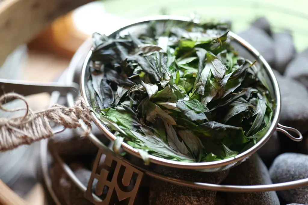 【小樽ロケに最適！】今の時期だけ楽しめる「雪ダイブ」を堪能できるサウナ施設を体験・取材しませんか？ 画像 9