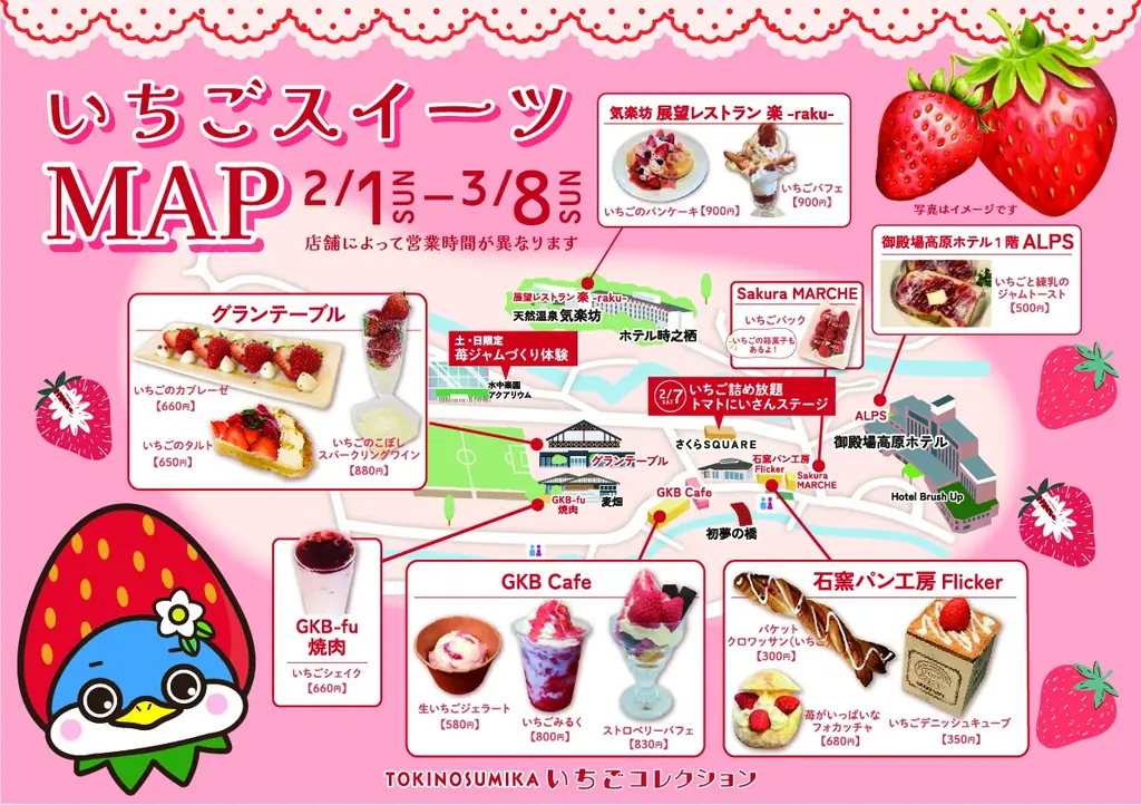 夜空を彩る、冬のファンタジー。御殿場高原 時之栖で噴水レーザーショー×花火のスペシャルコラボレーションショーを開催！ 画像 8