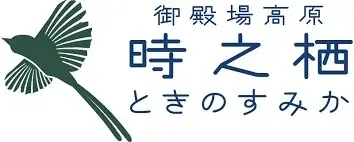 夜空を彩る、冬のファンタジー。御殿場高原 時之栖で噴水レーザーショー×花火のスペシャルコラボレーションショーを開催！ 画像 9