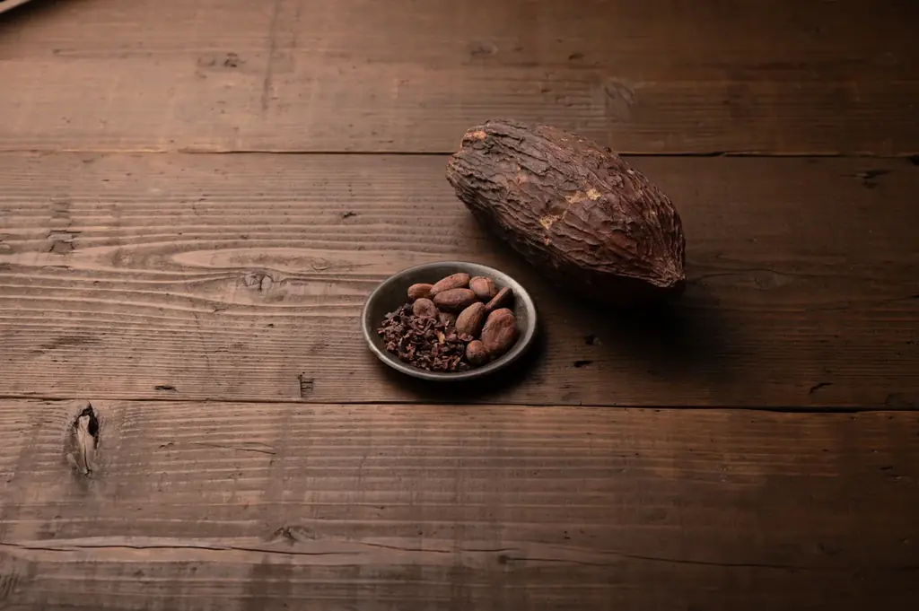 日本一入手困難のお菓子！？名古屋名物の手土産のガトーショコラ「 THE chocola 」が5年かけて遂に新商品を発売！！今後、世界一のケーキを目指す nagoya food に!! 画像 7