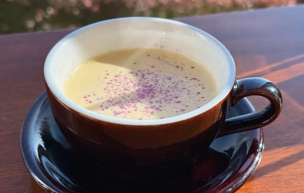 【水戸・偕楽園】ライトアップイベント「偕楽園 UME The Lights 2026」開催！！ 画像 12