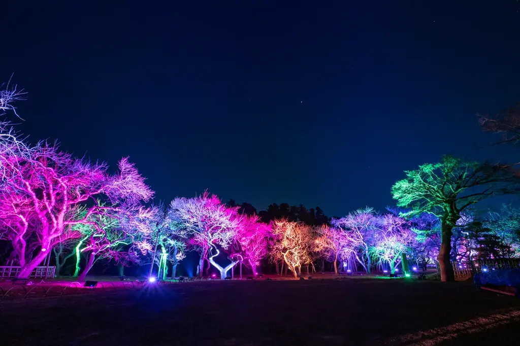 【水戸・偕楽園】ライトアップイベント「偕楽園 UME The Lights 2026」開催！！ 画像 2