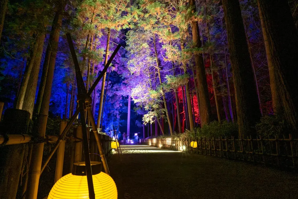 【水戸・偕楽園】ライトアップイベント「偕楽園 UME The Lights 2026」開催！！ 画像 3