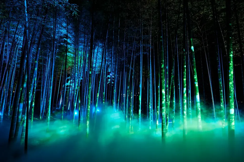 【水戸・偕楽園】ライトアップイベント「偕楽園 UME The Lights 2026」開催！！ 画像 7