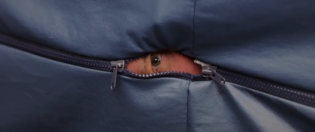 【限定上映第3弾】女子体操教室に潜むど変態オヤジを成敗せよ！爽快グロショート映画を「未体験ゾーンの映画たち2026」にて1月30日(金)から1週間限定上映！ 画像 5