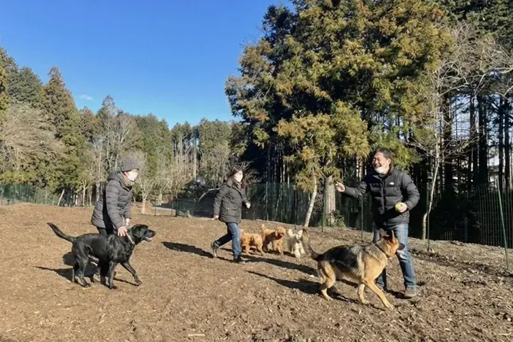 中型犬・大型犬でものびのび走り回れる無料ドッグラン「わん！フィールド」が1月11日より新規オープン 画像 3