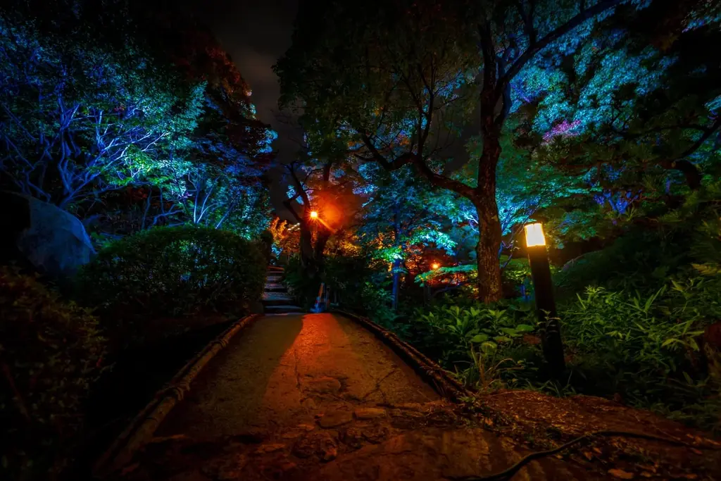 【大阪・藤井寺】歴史ある道明寺天満宮が一夜限りのカルチャースポットに「藤井寺カルチャーナイト in 道明寺天満宮」初開催 画像 3