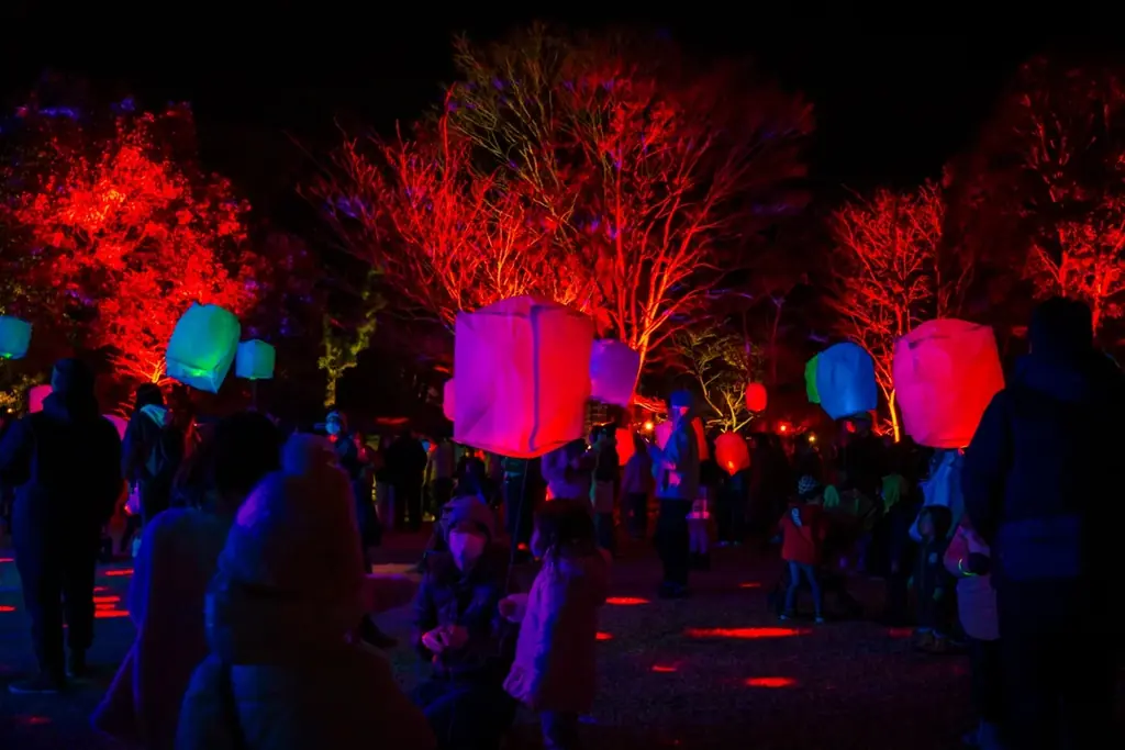 【大阪・藤井寺】歴史ある道明寺天満宮が一夜限りのカルチャースポットに「藤井寺カルチャーナイト in 道明寺天満宮」初開催 画像 4