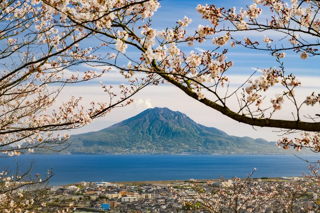 チャイナエアライン×鹿児島県×商船三井さんふらわあが初の共同キャンペーン 画像 2