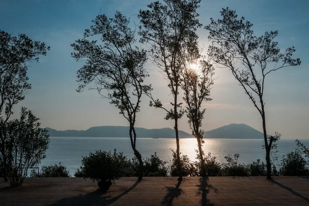 小豆島のオリーブリトリートを、東京で。 画像 10