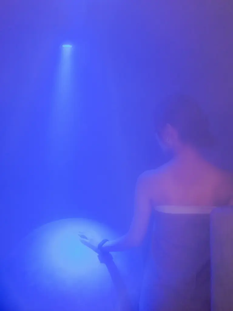 小豆島のオリーブリトリートを、東京で。 画像 9