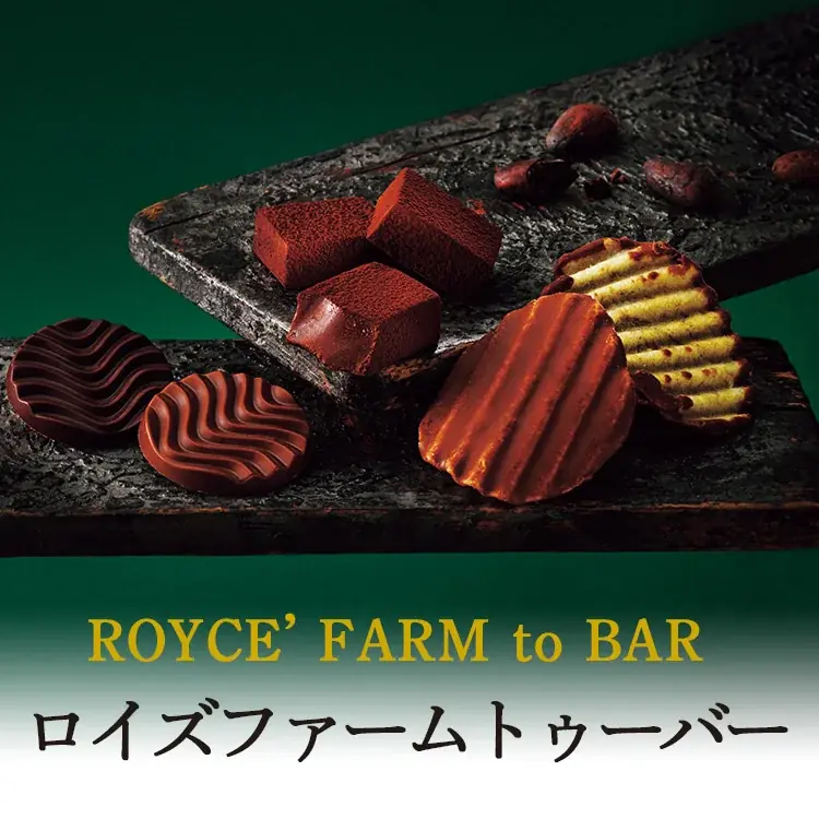 【ロイズ】バレンタインのギフト選びに迷っている方におすすめ！新作スイーツや生チョコの味わいチャートなどの特集ページを公開中。 画像 8