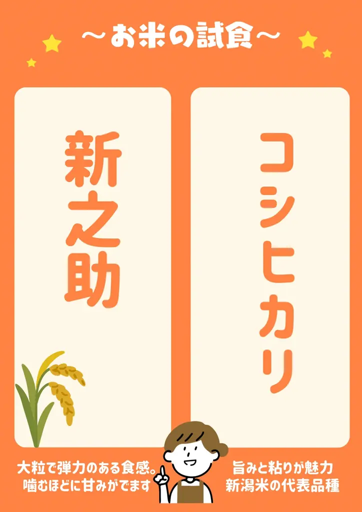【新潟県長岡市】新潟アルビレックスＢＢ×長岡市ふるさと納税 画像 4