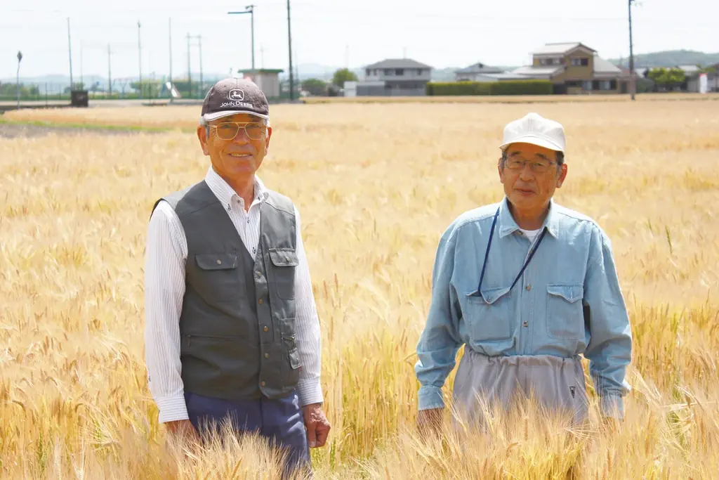 兵庫県産もち麦使用、国産桜葉がふわっと香る「新食感」桜もち。まめむぎマルシェ「もち麦入り桜もち」期間限定発売 画像 5