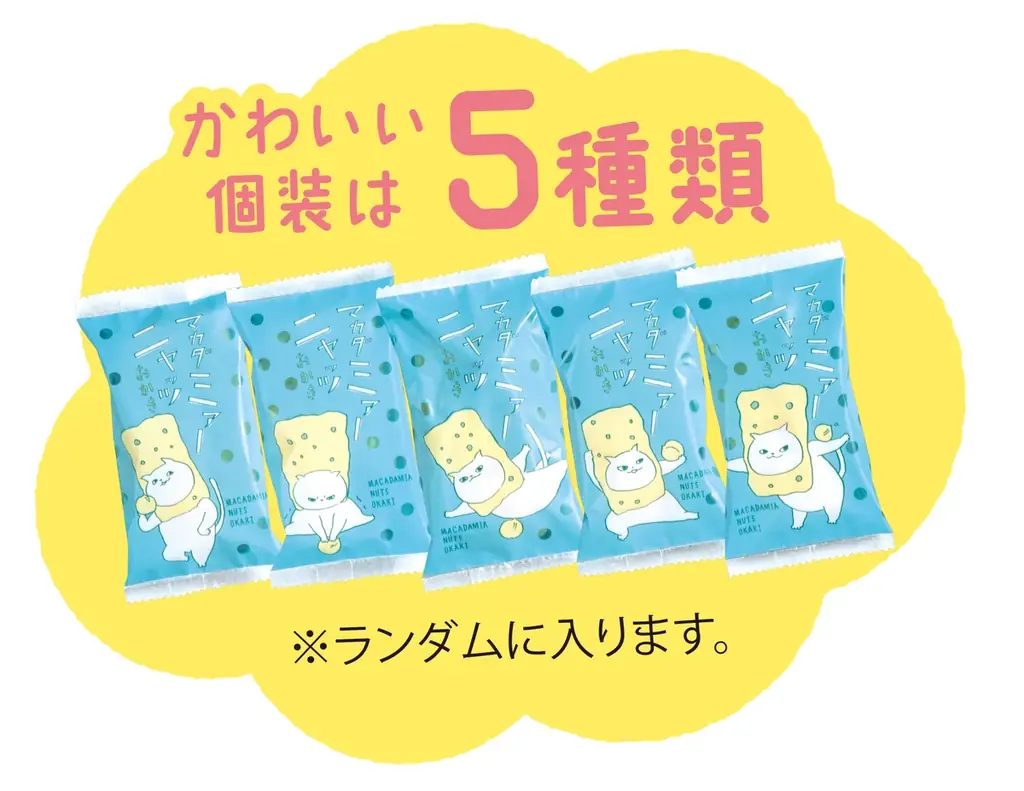 ネコ好き社員がネコ目線で考案 ２.22(ニャンニャンニャン）【猫の日】に愛でて楽しい、食べて美味しい オリジナルネコ柄『マカダミアニャッツＢＯＸ』2月4日より発売 画像 10