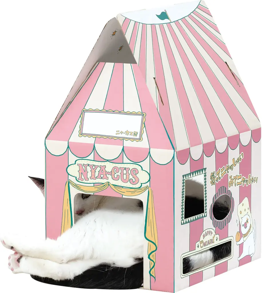 ネコ好き社員がネコ目線で考案 ２.22(ニャンニャンニャン）【猫の日】に愛でて楽しい、食べて美味しい オリジナルネコ柄『マカダミアニャッツＢＯＸ』2月4日より発売 画像 5