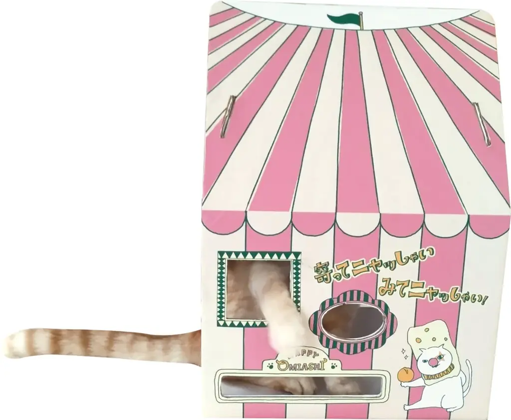 ネコ好き社員がネコ目線で考案 ２.22(ニャンニャンニャン）【猫の日】に愛でて楽しい、食べて美味しい オリジナルネコ柄『マカダミアニャッツＢＯＸ』2月4日より発売 画像 6