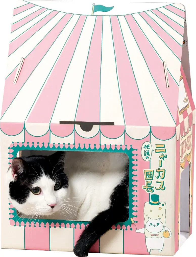 ネコ好き社員がネコ目線で考案 ２.22(ニャンニャンニャン）【猫の日】に愛でて楽しい、食べて美味しい オリジナルネコ柄『マカダミアニャッツＢＯＸ』2月4日より発売 画像 7