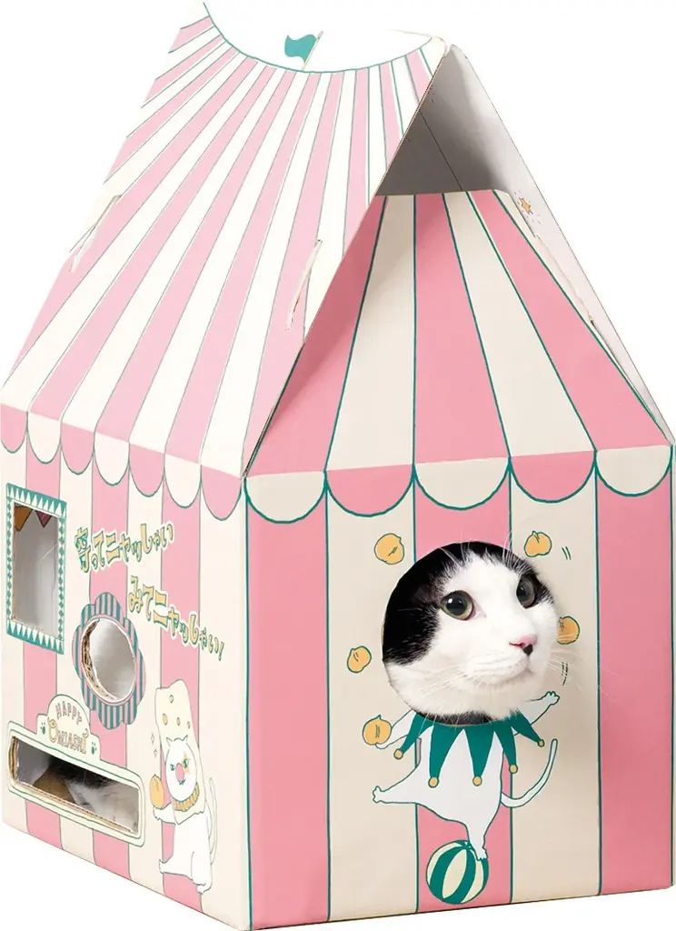 ネコ好き社員がネコ目線で考案 ２.22(ニャンニャンニャン）【猫の日】に愛でて楽しい、食べて美味しい オリジナルネコ柄『マカダミアニャッツＢＯＸ』2月4日より発売 画像 8