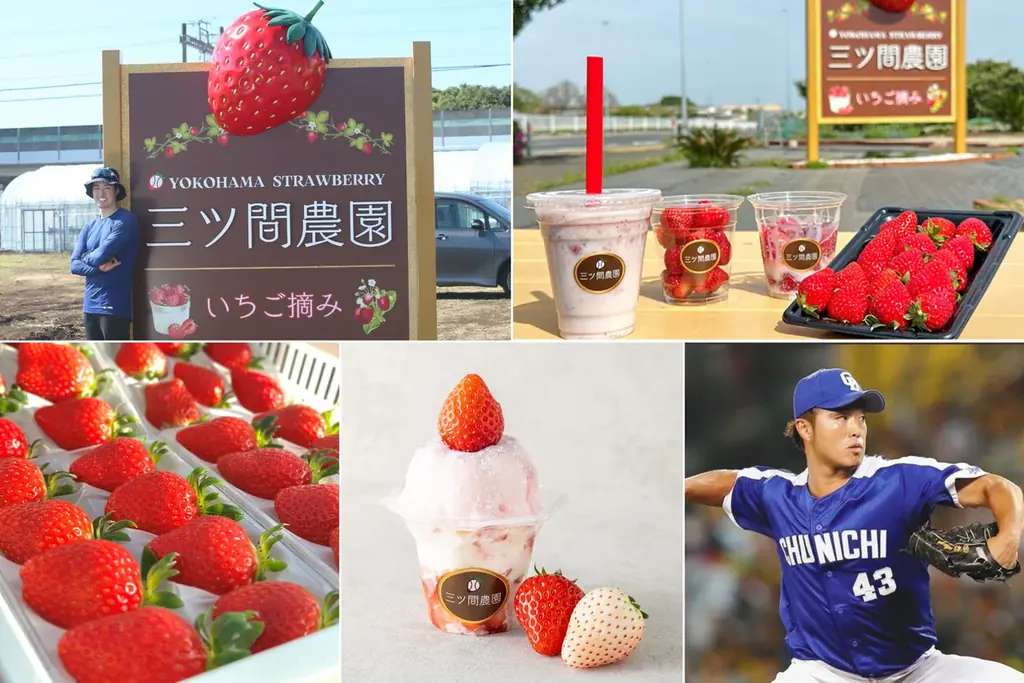 2月1日オープン 三ツ間農園の朝採れいちご店