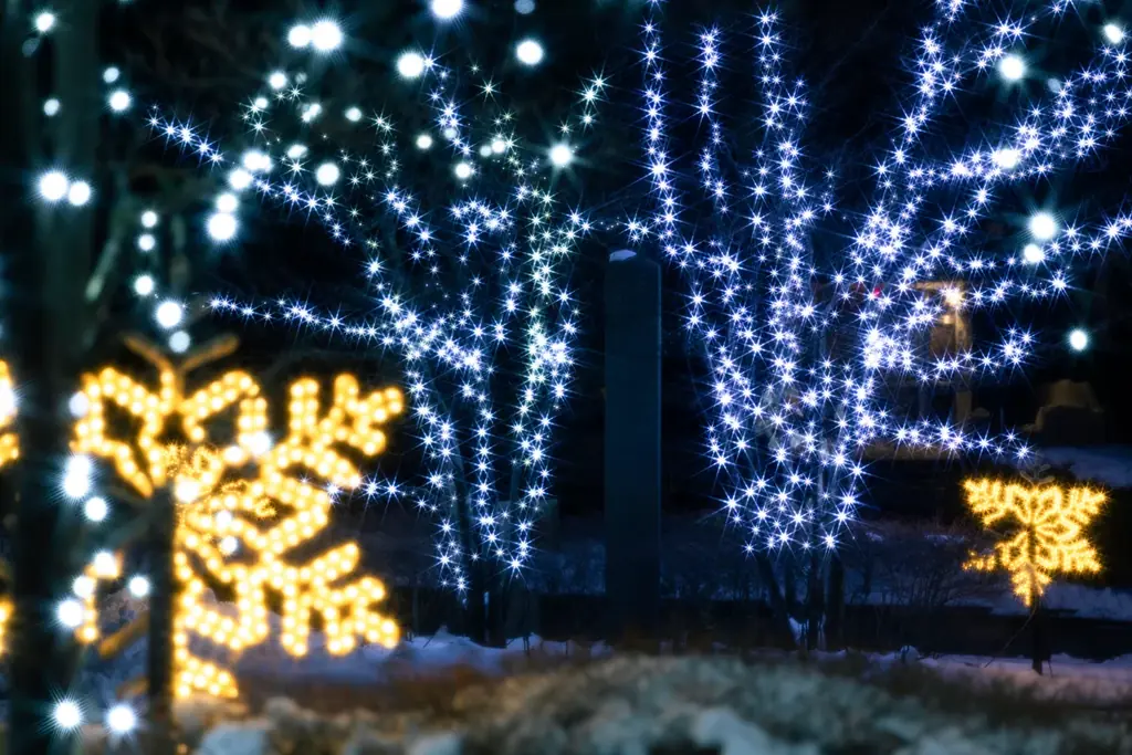 【冬の雲仙温泉街を幻想的に彩るイルミネーションイベント開催】　「雲仙灯りの花ぼうろ2026」〜花火と光と湯けむりが織り成す夜景体験〜 画像 2