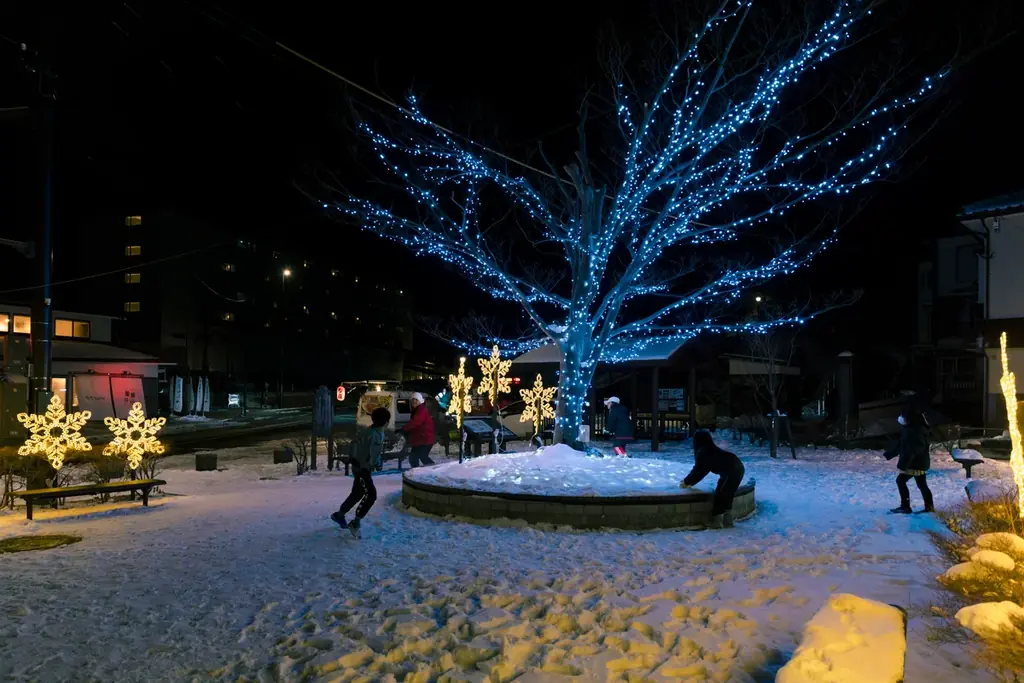 【冬の雲仙温泉街を幻想的に彩るイルミネーションイベント開催】　「雲仙灯りの花ぼうろ2026」〜花火と光と湯けむりが織り成す夜景体験〜 画像 3