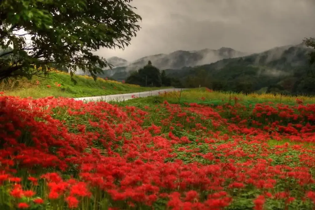 全室サウナ付きの宿へ進化。那須ユートピアがリニューアル、サウナー向け宿泊キャンペーンを開始 画像 14