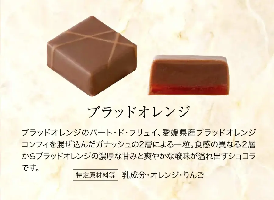 チョコレートの匠・堀尾亮輔氏【RESPIRER（レスピレ）】阪急バレンタインチョコレート博覧会2026に出店 画像 8