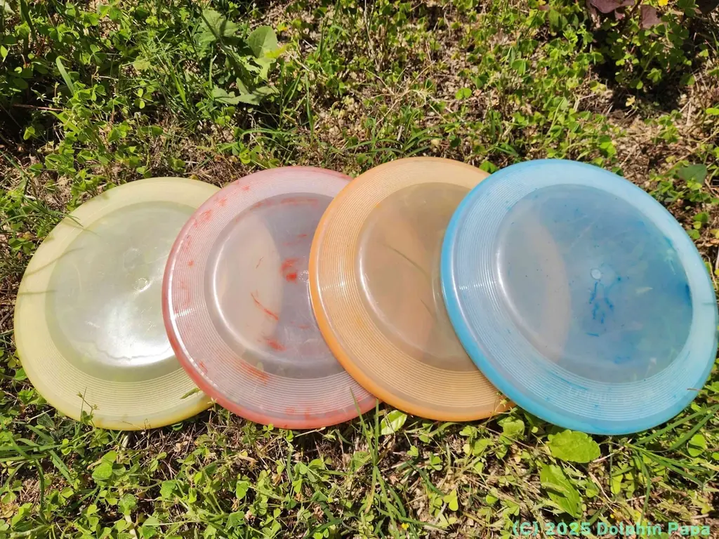 唐津・小川島「おがわプロジェクト」再始動。海洋プラスチック×アートで“島で遊ぶ”フライングディスク制作へ 画像 3