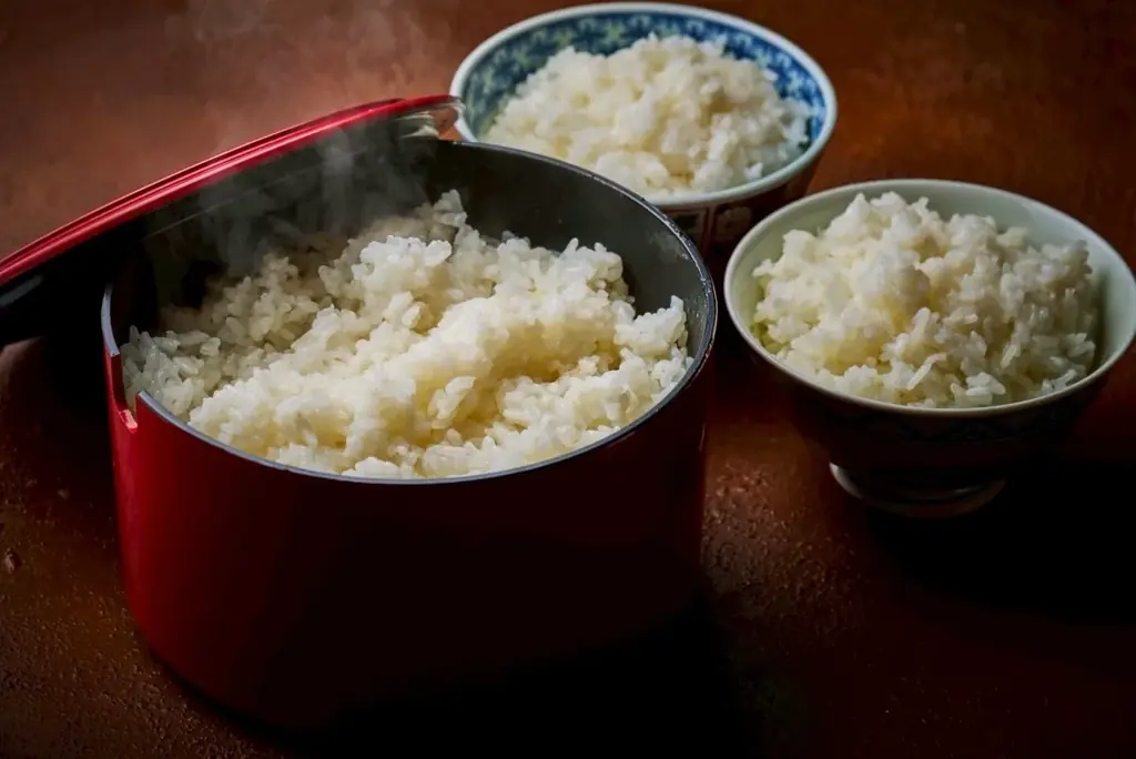 【無限100円★１周年記念フェア】焼肉こじま離れ 大阪アメ村店ディナータイム限定で対象ドリンクが何杯飲んでも1杯100円！ 画像 6