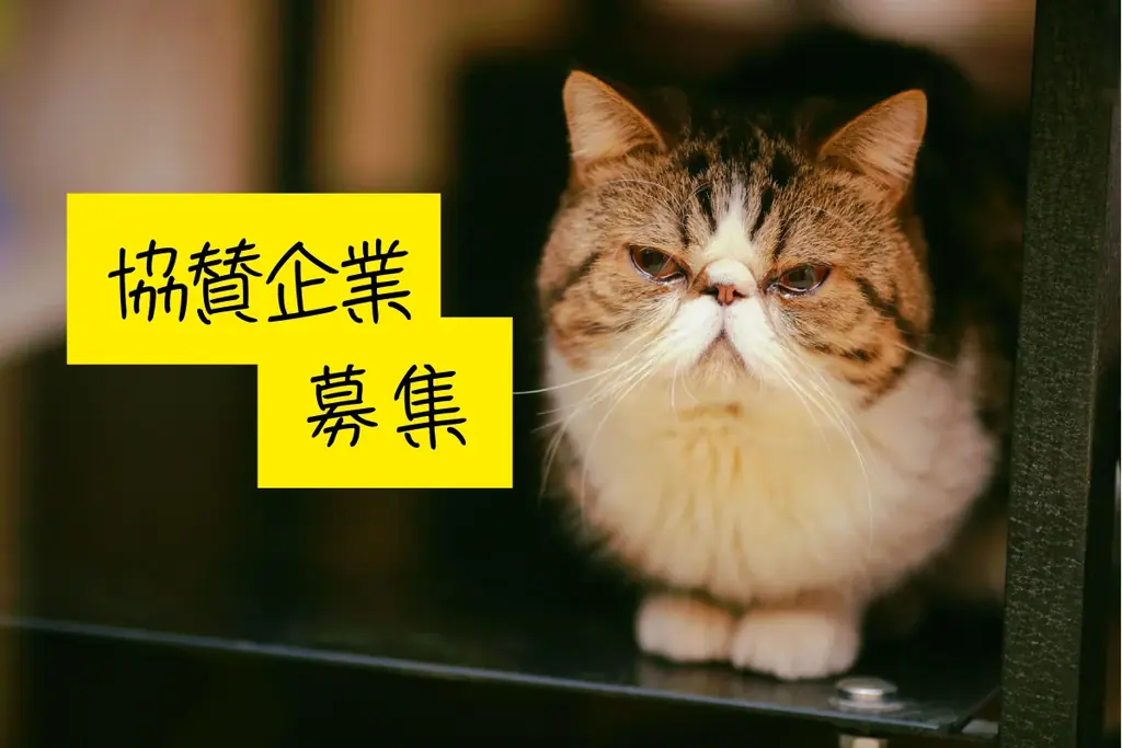 第2回ねこフェス2026開催決定 | 8月1（土）・2（日）日さいたまスーパーアリーナ展示ホール 画像 4