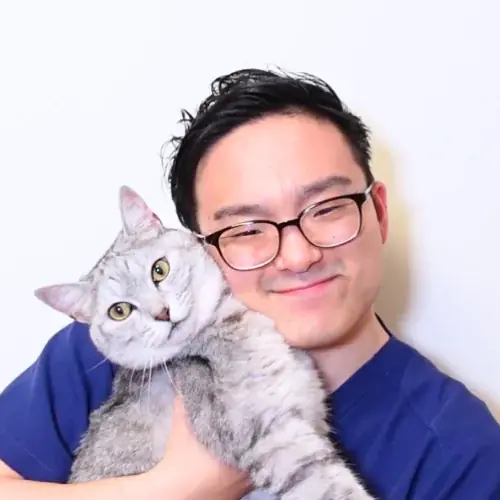 第2回ねこフェス2026開催決定 | 8月1（土）・2（日）日さいたまスーパーアリーナ展示ホール 画像 7