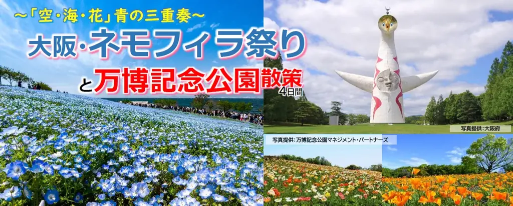 青の三重奏4日間