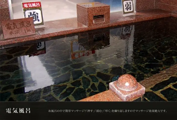 衆議院選挙に行ってお得にお風呂に入ろう！！はなの湯・ほたるの湯・つばきの湯『センキョ割』キャンペーン実施！！ 画像 29