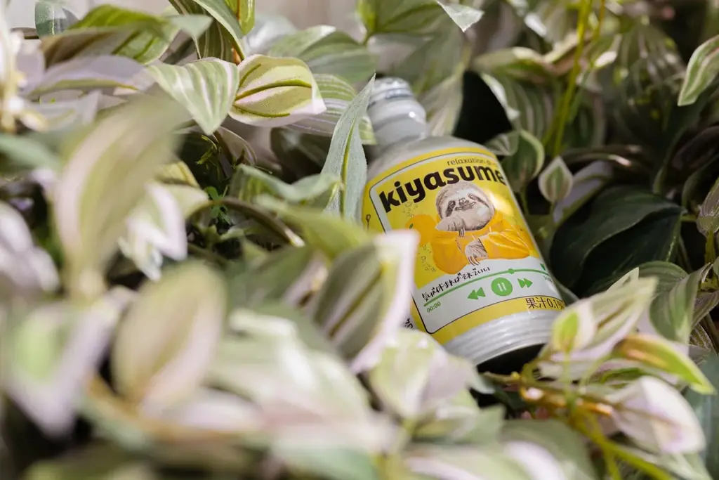 海辺の癒やし、再び。舞子ビラ「さふぃスパ舞子」メンズサウナにて第2回レディースデーを2026年2月15日（日）に開催！ 画像 23