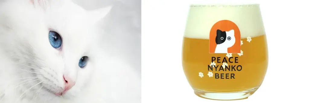 「飲むたび、命がつながる。」飲んで猫を助ける『ピースニャンコビール』がクラウドファンディングで発売開始！ 画像 6