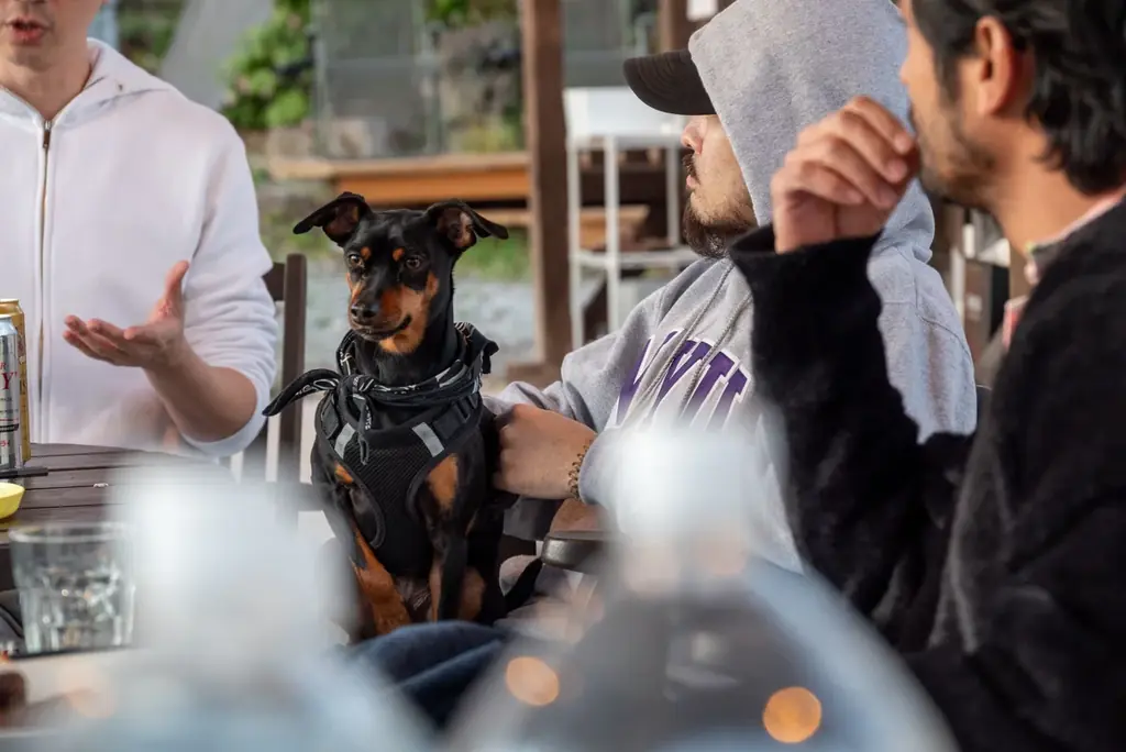 【日本最大級の独占お花見】2000坪の敷地に咲く桜を“1組”だけで貸切。Airbnb★5.0の究極ヴィラ「ReTune Hokuto」で、ととのう「花見×サウナ」予約解禁。 画像 18