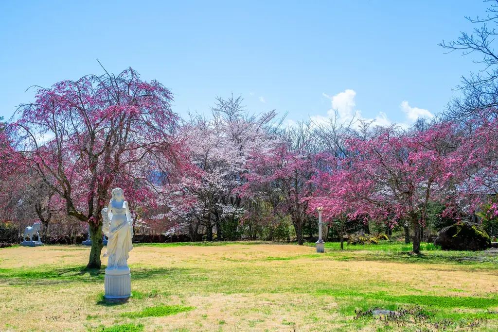 【日本最大級の独占お花見】2000坪の敷地に咲く桜を“1組”だけで貸切。Airbnb★5.0の究極ヴィラ「ReTune Hokuto」で、ととのう「花見×サウナ」予約解禁。 画像 20