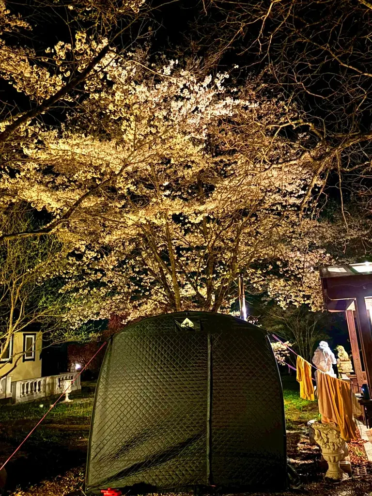 【日本最大級の独占お花見】2000坪の敷地に咲く桜を“1組”だけで貸切。Airbnb★5.0の究極ヴィラ「ReTune Hokuto」で、ととのう「花見×サウナ」予約解禁。 画像 8